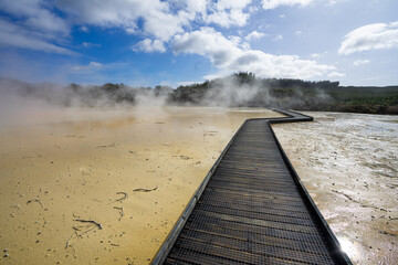 Wooden path leading through the travertine with steam rising in the air at Wai o Tapu. - Powered by Adobe