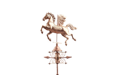 Gorgeous Handy Weather Vane Isolated on Transparent Background PNG. - obrazy, fototapety, plakaty