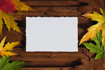 Autumn composition. Paper billet, autumn leaves on a dark wooden background. Autumn concept. Flatlay, top view, copy space