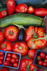 Bodegon vertical de tomates rojos, berenjena, calabacín verde y cajitas de cherrys rojos.