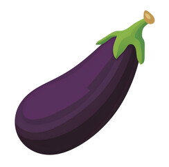 Ripe eggplant. Eggplant isolated on white background close-up. Fresh eggplant from garden. Vegetarian food. cartoon vector illustration.