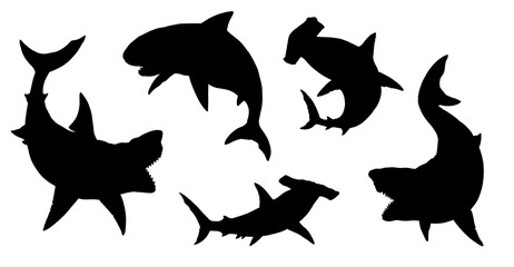 Set with sharks silhouettes: great white shark, megalodon, mako and hammerhead shark. Hand drawn illustration to cut out and glue. - obrazy, fototapety, plakaty