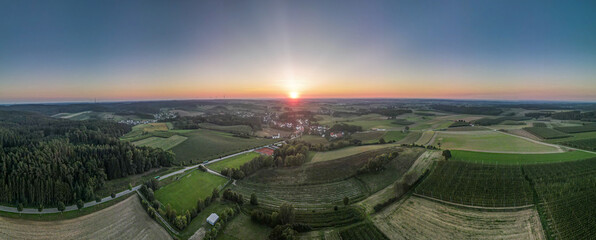 Hop field from Top before harvest phase with sunset light