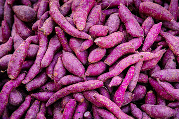 Fresh purple yams pile  in fresh market Fruits organic for good health. Foods and Fruits healthy concept