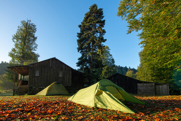 Tent camp in Çardaklı Plateau. Tent camping in the forest. Tent camping in the trees.Water drops...