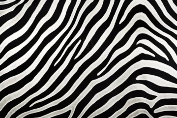 Tuinposter zebra stripe pattern from a distance © altitudevisual
