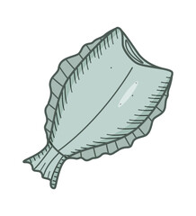 Halibut drawing doodle of a headless fish. Flounder vector illustration of raw or dried fish, seafood.