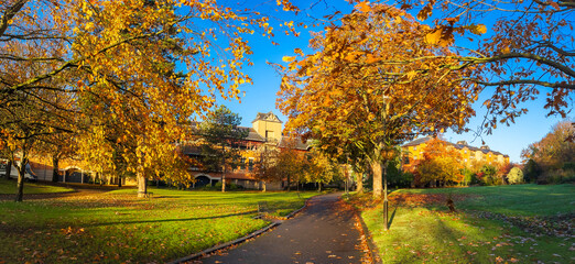 Wide panoramic  view of the park and alley in fall season with colorful trees in Bromley on a bright sunny day - London