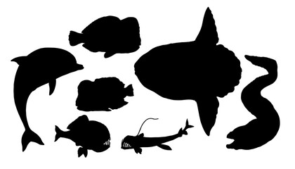 Set with fish silhouettes: ghumphead parrotfish, moray eel, sunfish, dolphin and frogfish. Hand drawn illustration to cut out and glue.