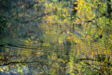 Yedigöller or Seven Lakes National Park is in Turkey.
Reflection of a lake with trees and blue sky in autumn colors. Yedigöller, Bolu.
Yedigöller in autumn. Bolu, Türkiye.