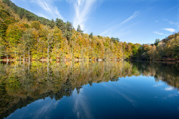 Naklejka premium Yedigöller or Seven Lakes National Park is in Turkey. Reflection of a lake with trees and blue sky in autumn colors. Yedigöller, Bolu. Yedigöller in autumn. Bolu, Türkiye.