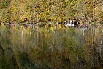Yedigöller or Seven Lakes National Park is in Turkey.
Reflection of a lake with trees and blue sky in autumn colors. Yedigöller, Bolu.
Yedigöller in autumn. Bolu, Türkiye.