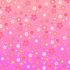 Kirschblüten Hintergrund