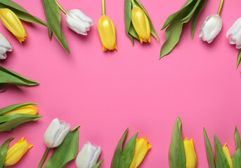 Beautiful tulips lay on pink background