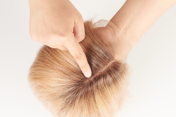 Naklejka premium Natural looking blonde wig close-up details, natural hair, extension system