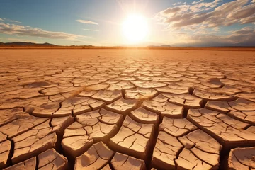 Fotobehang drought affected cracked earth under a harsh sun © altitudevisual