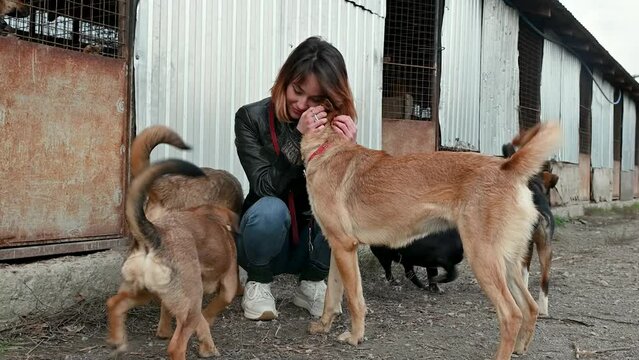 Animal shelter volunteer takes care of dogs. Dog at the shelter. Lonley dogs in cage with cheerful woman volunteer