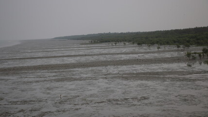 Costal area,  Cox's Bazar