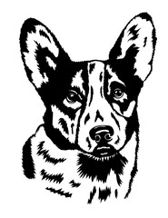 Dog realistic vector portrait. Black and white dog portraits