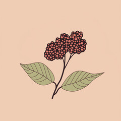 Simple graphic of a Elderberry berry. Flat clean cartoon 2D illustration style