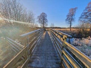 Frozen Bridge