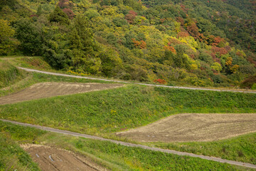 Rice terraces in Iwakubi, Sado Island, Niigata prefecture.