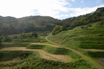 Rice terraces in Iwakubi, Sado Island, Niigata prefecture.
