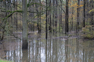 Obraz premium Thema: Hochwasser