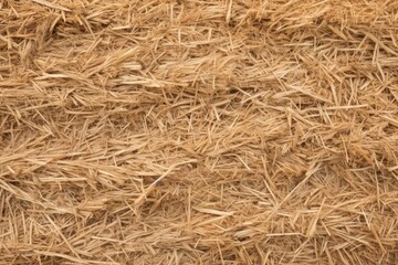 texture of a freshly cut hay bale