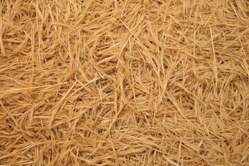 detail of loose hay against a plain background