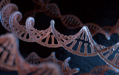 Spiral strands of DNA