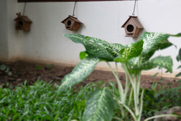 Interior of cozy coffee shop atmosphere