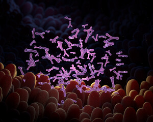 Microvilli with bifidobacterium in intestine