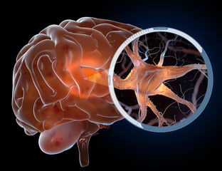 Neurons in a brain