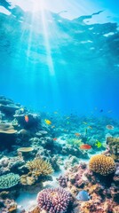 Fototapeta na wymiar Underwater coral reefs. Mesmerizing ocean background