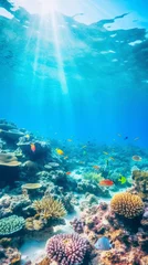 Foto op Aluminium Underwater coral reefs. Mesmerizing ocean background © BraveSpirit
