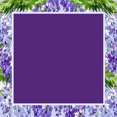 watercolor square frame with branch of wisteria blossom flowers, hand drawn illustration with spring lilac flowers, blue plant on violet background