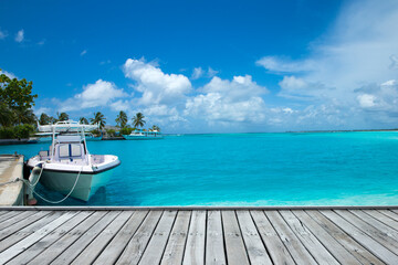 tropical Maldives island with white sandy beach and sea - obrazy, fototapety, plakaty