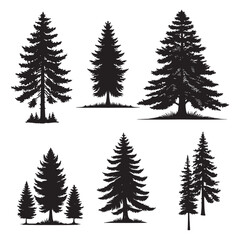 Isolated tree on the white background. Tree silhouettes. set of tree pine silhouette collections. Set for the design of various works, brochures, posters. 