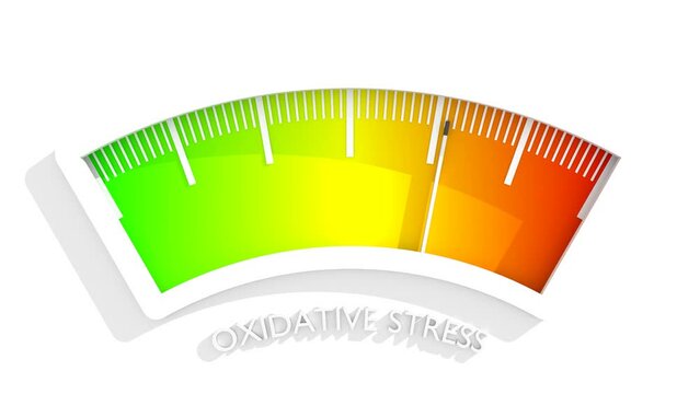 Oxidative stress value measuring device with arrow and scale. Free radicals cause oxidation of the cellular membrane proteins and lipids, and damage of the cellular components.