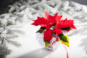 The star of Bethlehem standing in the snow among the snow-covered branches of a Christmas tree