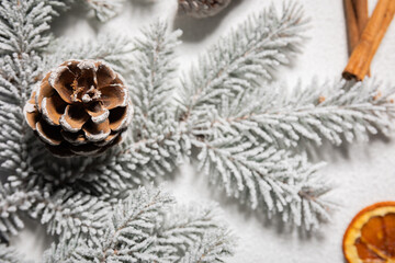 A pine cone on a snow-covered branch of a Christmas tree among dried orange and cinnamon