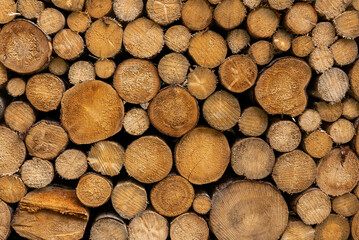 view of large stack of cut wooden logs