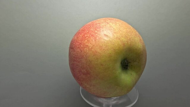 Apple in studio with gray background