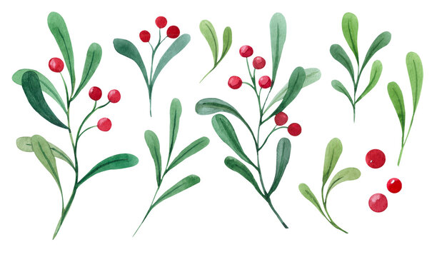 Watercolor Christmas set with branches and red berries. Hand painted holiday greenery isolated on white background. Floral illustration for design, print, fabric or background, congratulation, card.