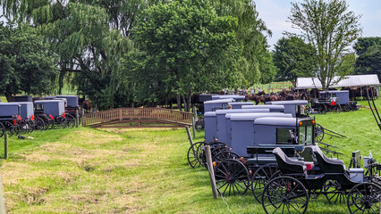 A Large Group of Amish Horse and Buggies for an Event, in Lancaster, Pennsylvania on a Sunny Summer Day