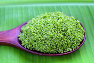 Wolffia globosa or swamp algae, water meal