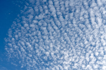 White fluffy clouds in regular pattern cloudscape background  