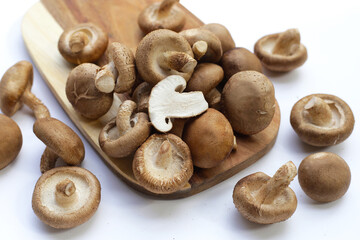 Fresh shiitake mushrooms on white background.
