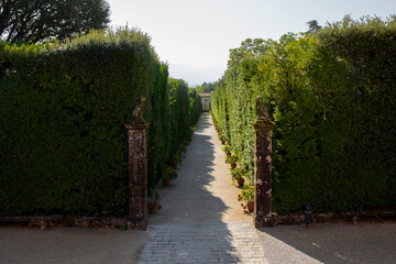 Avenues of the Villa Marlia park located in Capannori, near Lucca in Tuscany, Italy. - obrazy, fototapety, plakaty